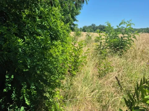 Sale, land lot, 11500m², Valjevo, Srbija - image 5