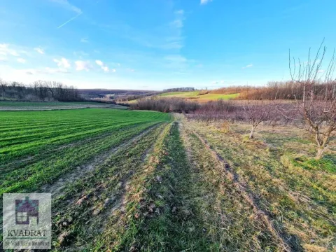 Prodaja, plac, 38000m², Kožuar, Ub - image 1