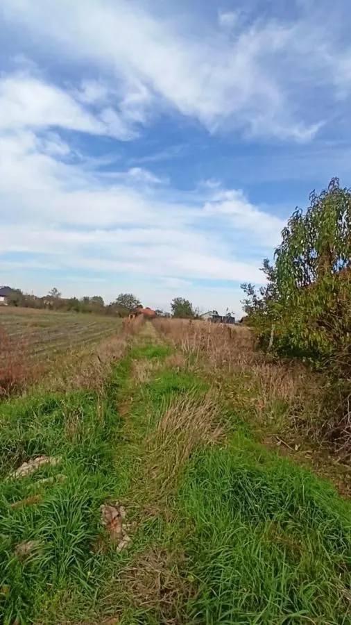 Prodaja, plac, 661m², Jagodina, Srbija