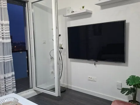 Rent, one bedroom apartment, 34m², Zabjelo, Podgorica - image 3