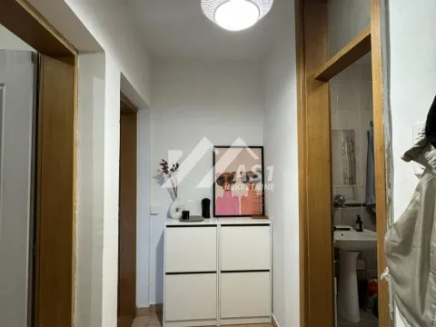 Izdavanje, jednosoban stan, 30m², Socijalno, Novi Sad Sve Podlokacije - image 5