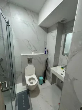 Moderne opremljeno kupatilo sa tuš kabinom, WC šoljom i umivaonikom. - image 6