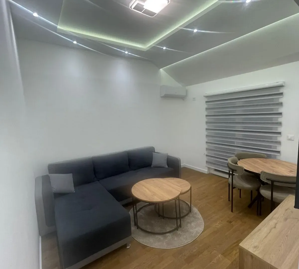 Izdavanje, jednosoban stan, 55m², Zagorič, Podgorica