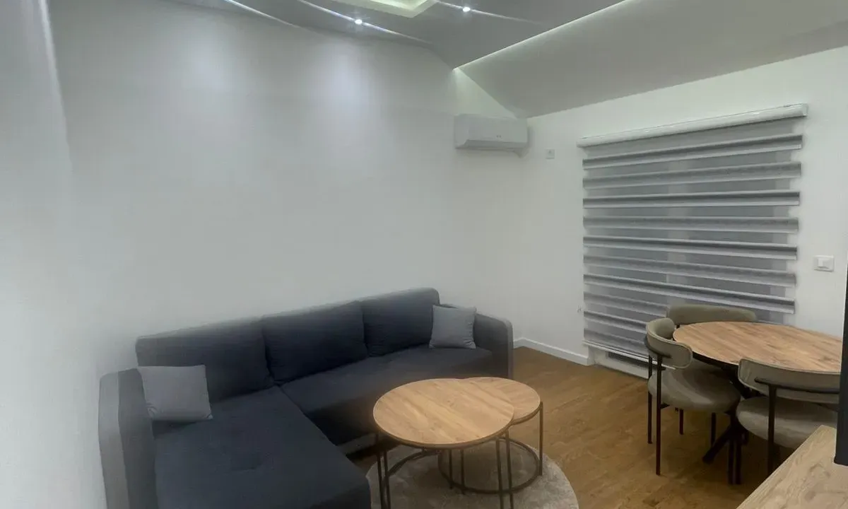 Izdavanje, jednosoban stan, 55m², Zagorič, Podgorica