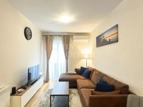 Rent, apartment, 40m², Central Point, Podgorica - image 1