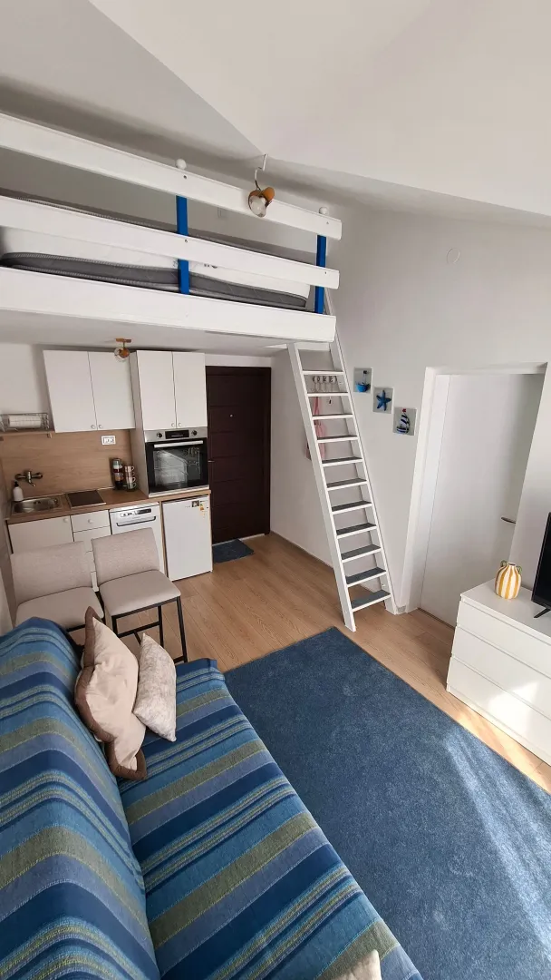 Small living room with kitchen and sleeping loft.