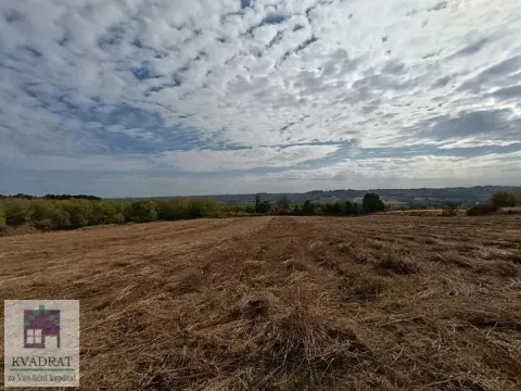 Pogled na prostrano poljoprivredno zemljište pod vedrim nebom sa oblačnim pokrivačem. - image 4