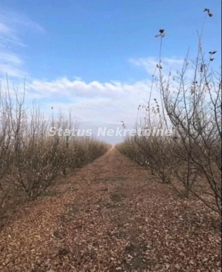 Prodaja, plac, 16304m², Bela Palanka, Srbija