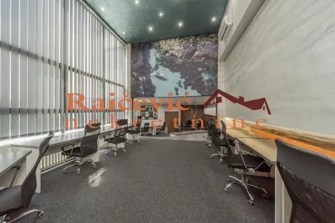 Izdavanje, poslovni prostor, 315m², Banovo Brdo, Beograd - image 2