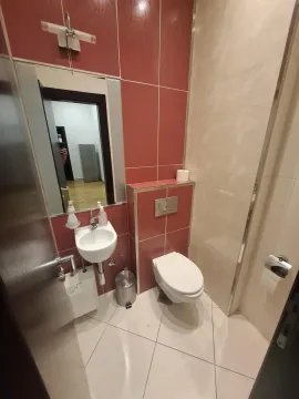 Manje kupatilo sa lavaboom, wc šoljom i ogledalom. - image 20