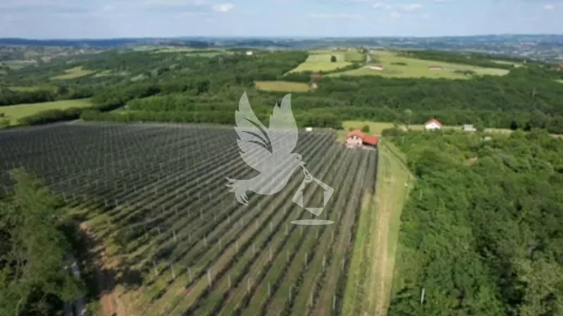 Prodaja, plac, 32000m², Babe, Sopot