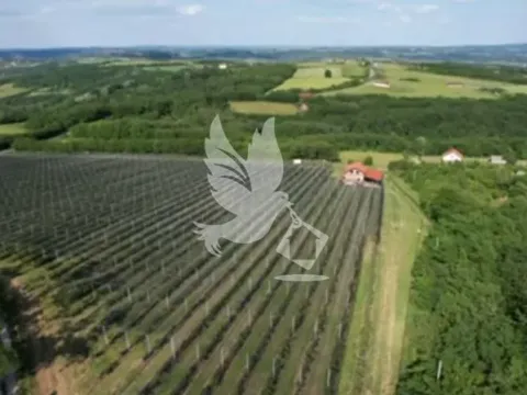 Sale, land lot, 32000m², Babe, Sopot - image 6