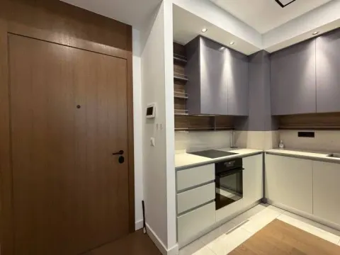 Izdavanje, jednosoban stan, 71m², Beograd Na Vodi, Beograd - image 3