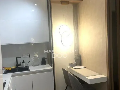 Izdavanje, dvosoban stan, 35m², Južni Bulevar, Vračar Sve Podlokacije - image 5