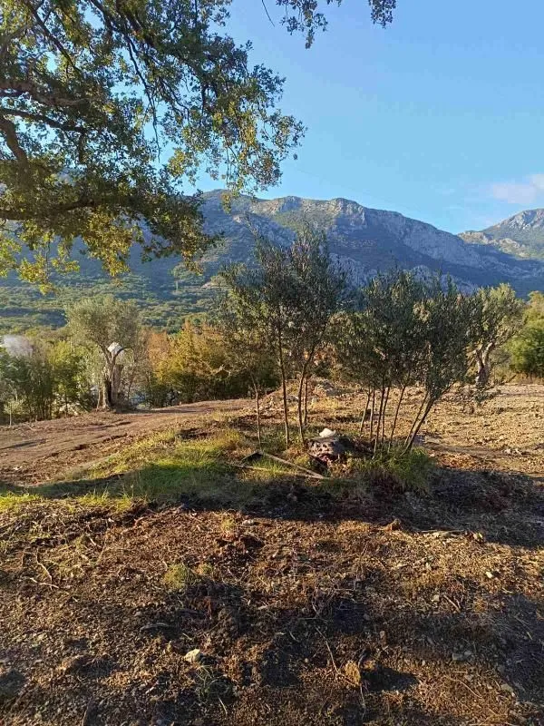 Prodaja, plac, 4200m², Bjeliši, Bar