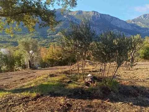 Prodaja, plac, 4200m², Bjeliši, Bar - image 9