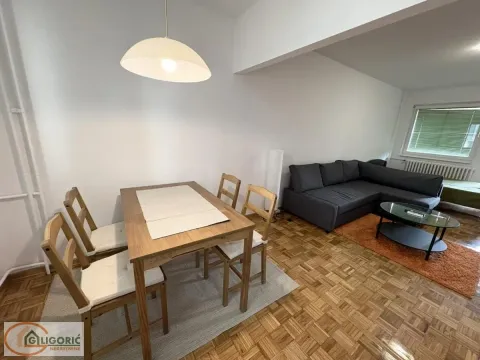 Rent, one bedroom apartment, 45m², Lion, Zvezdara Sve Podlokacije - image 4