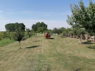 Sale, house, 178m², Beška, Inđija - image 14