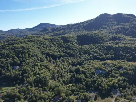 Sale, land lot, 136850m², Cetinje, Crna Gora - image 4