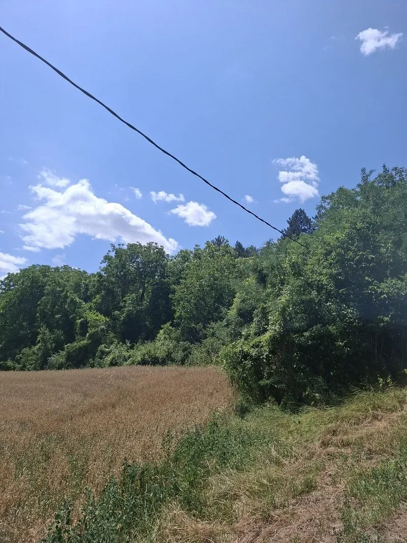 Prodaja, plac, 14200m², Irig, Srbija