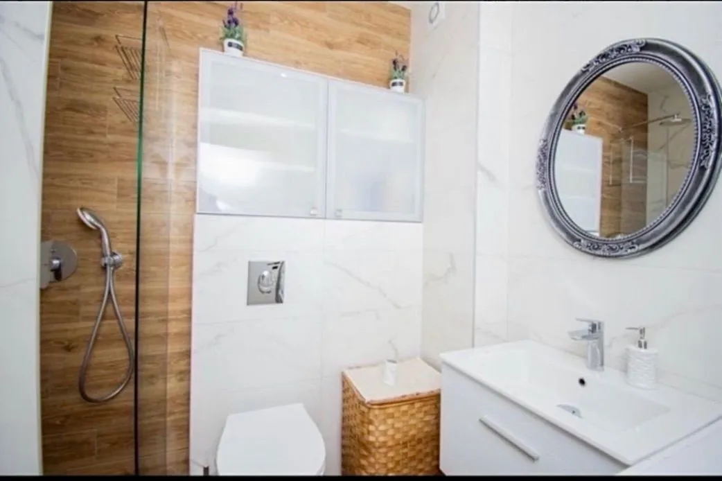 Rent, one bedroom apartment, 48m², Vezirov Most, Podgorica