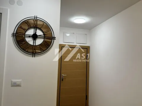 Izdavanje, dvosoban stan, 51m², Bulevar patrijarha Pavla, Novi Sad Sve Podlokacije - image 8