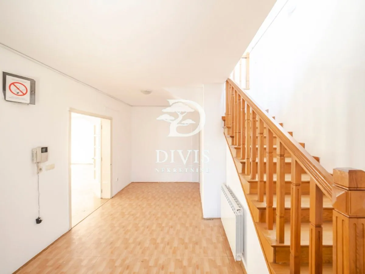 Rent, apartment, 290m², Olimp, Zvezdara Sve Podlokacije