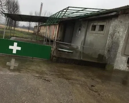 Izdavanje, poslovni prostor, 1700m², Pecinci, Srbija - image 3