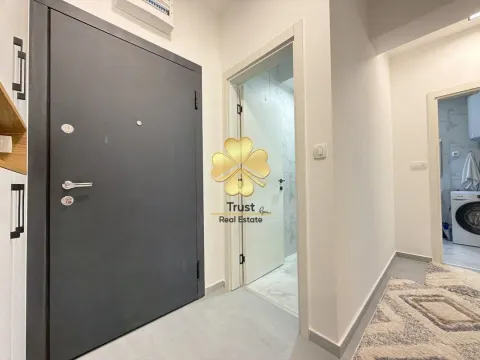 Izdavanje, dvosoban stan, 70m², Stari Aerodrom, Podgorica - image 7