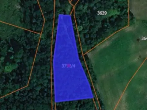 Sale, land lot, 70000m², Trudelj, Gornji Milanovac - image 6