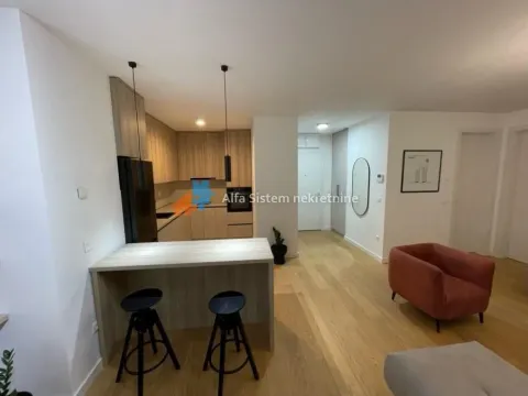 Izdavanje, dvosoban stan, 60m², Stari Grad, Beograd - image 2