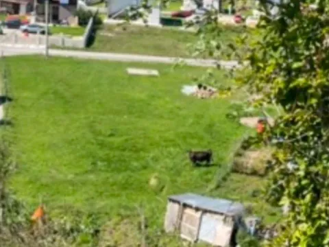 Prodaja, plac, 2000m², Kolašin, Crna Gora - image 5