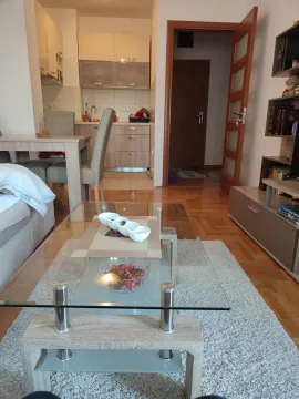 Rent, one bedroom apartment, 45m², Gintaš, Podgorica - image 3