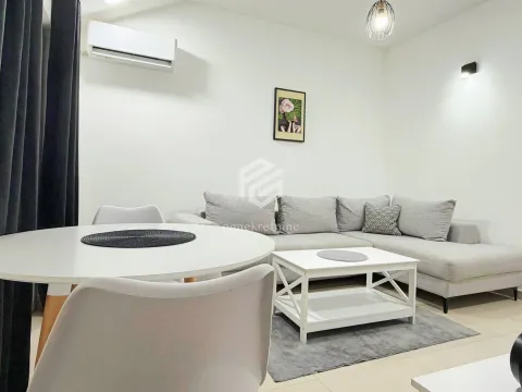 Rent, one bedroom apartment, 45m², Zagorič, Podgorica - image 3
