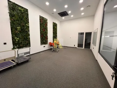 Rent, office space, 1029m², Centar, Novi Sad - image 6