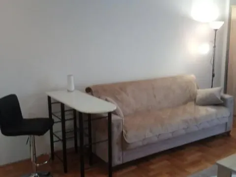 Rent, one bedroom apartment, 29m², Podbara, Novi Sad Sve Podlokacije - image 4