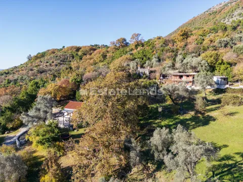 Pogled iz vazduha na imanje sa kućama i okolnim zelenilom. - image 9