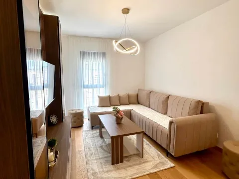Rent, one bedroom apartment, 47m², New City, Podgorica - image 5