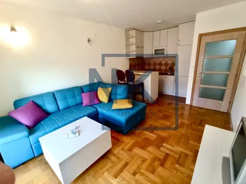 Izdavanje, jednosoban stan, 40m², Stari Aerodrom, Podgorica - image 1