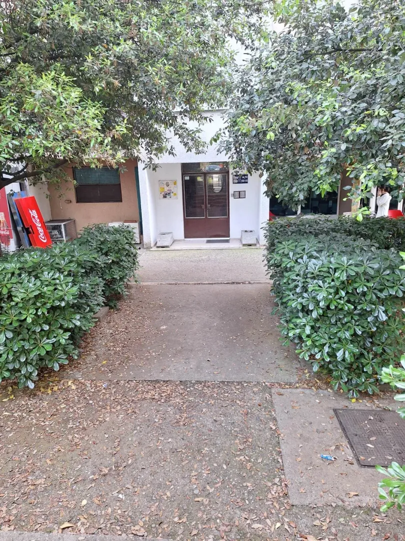 Entrance to a residential building surrounded by greenery and trees.