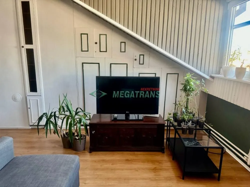 Rent, two bedroom apartment, 55m², Vračar Sve Podlokacije, Beograd