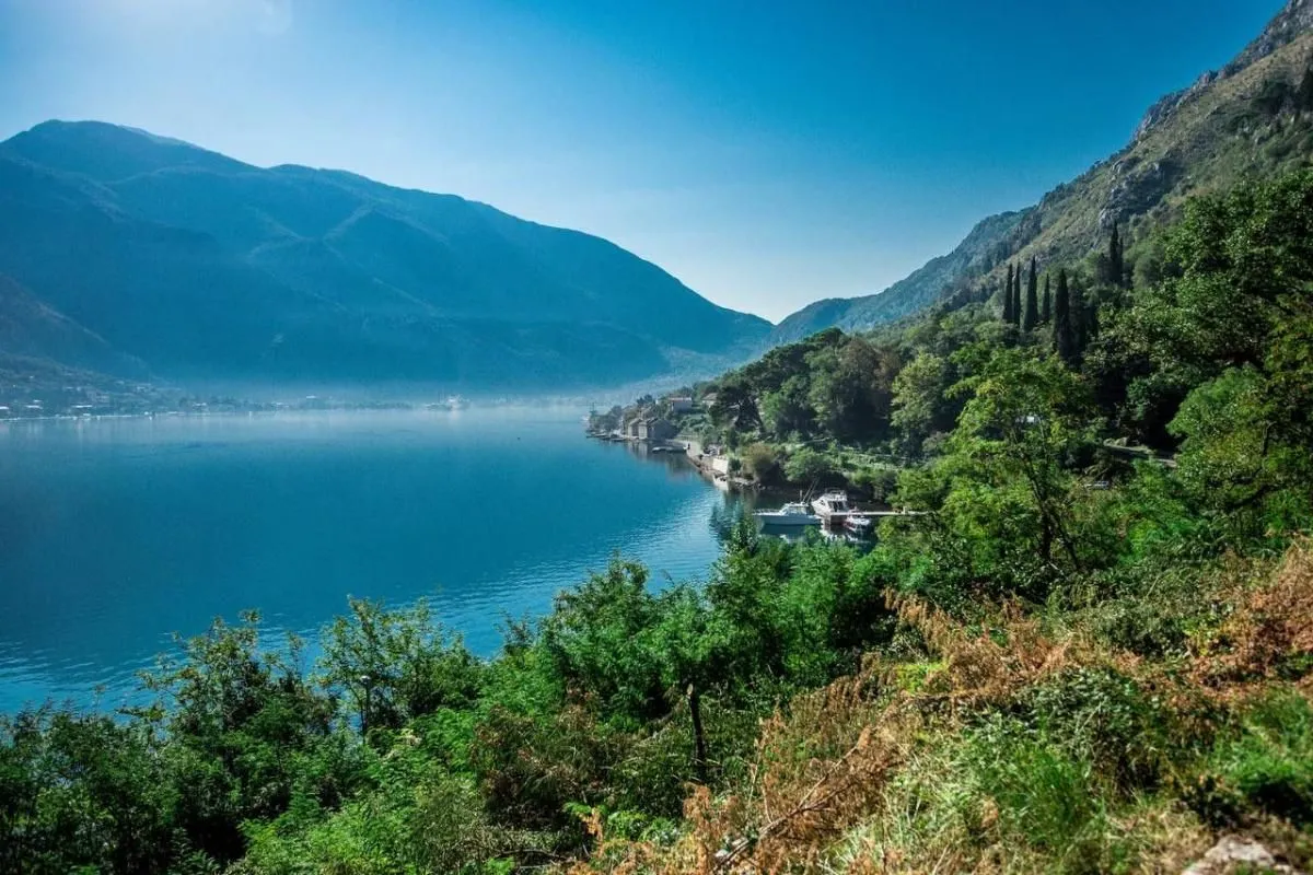 Prodaja, plac, 30000m², Kotor, Crna Gora