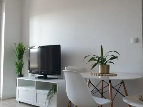 Izdavanje, dvosoban stan, 40m², Liman 4, Novi Sad Sve Podlokacije - image 1