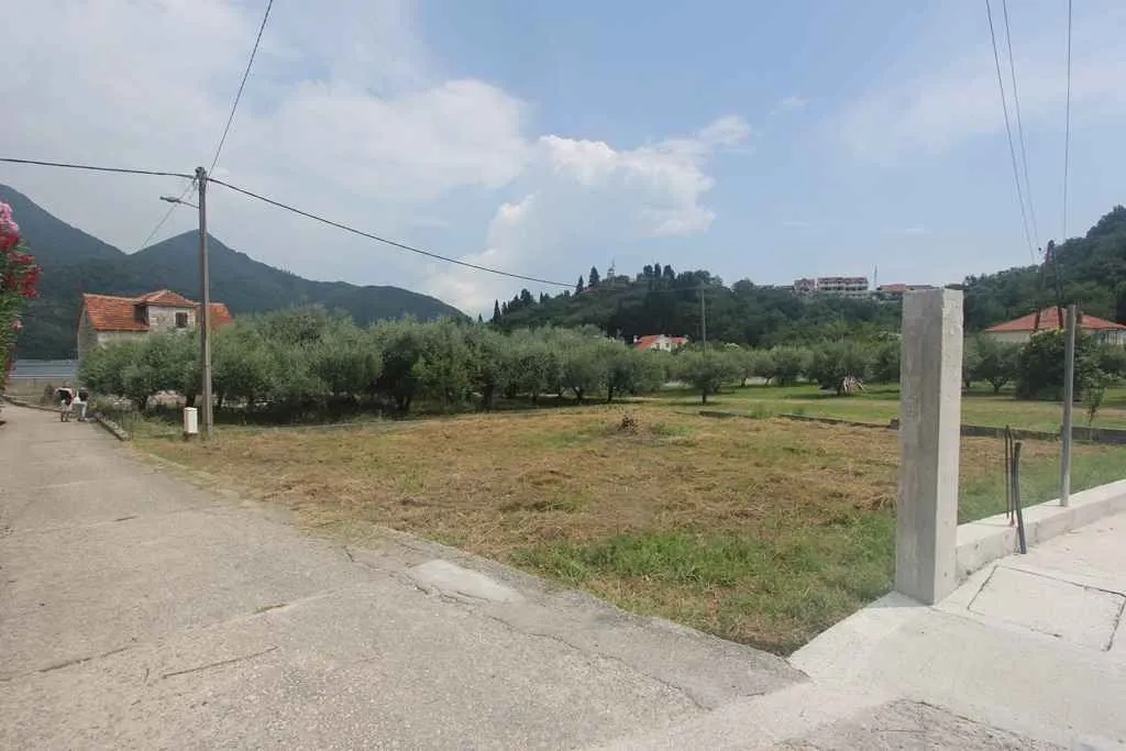 Travnati plac pored puta sa maslinjakom u pozadini.