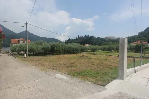 Travnati plac pored puta sa maslinjakom u pozadini. - image 4