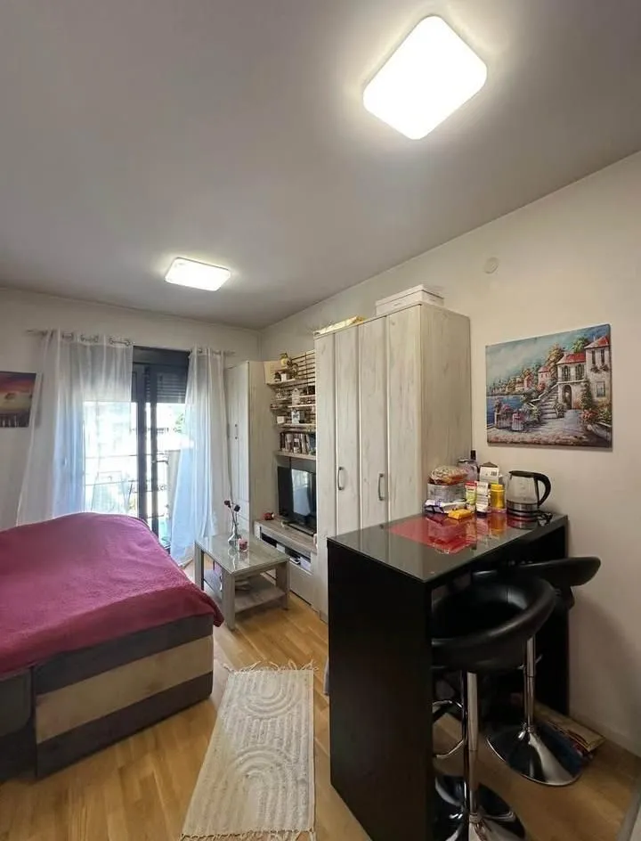 Prodaja, garsonjera, 26m², Zabjelo, Podgorica
