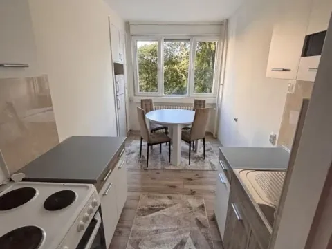 Izdavanje, jednosoban stan, 45m², Medijana, Niš - image 4