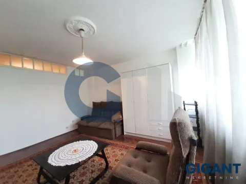 Rent, one bedroom apartment, 32m², Novi Beograd Blok 2, Novi Beograd Sve Podlokacije - image 5