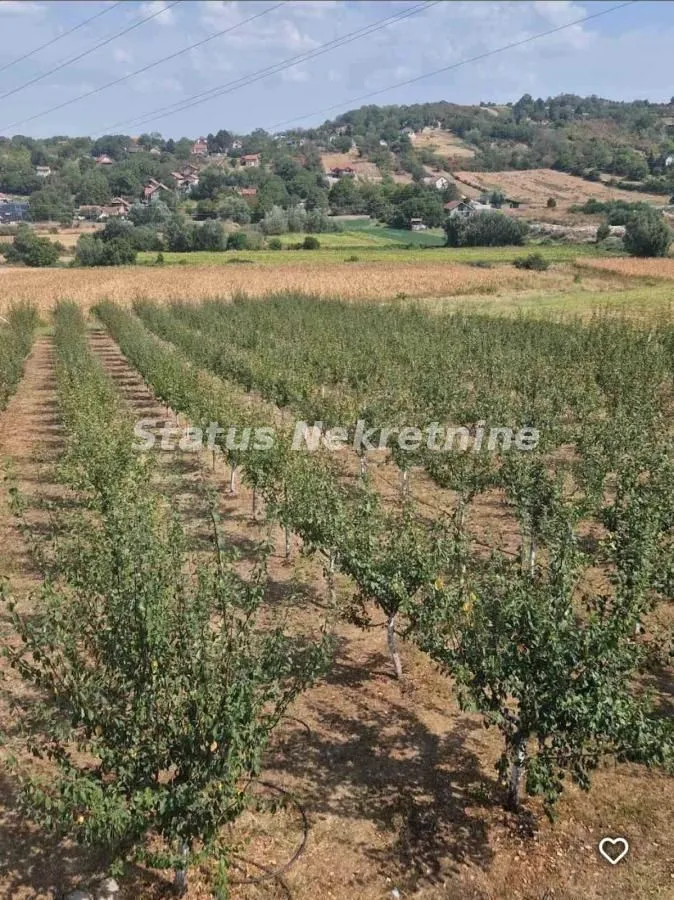 Izdavanje, kuća, 200m², Petrovaradin, Novi Sad