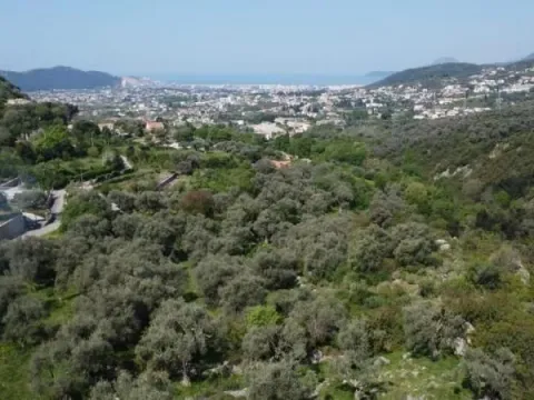 Prodaja, plac, 1560m², Bar, Crna Gora